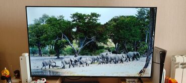 tp link wifi güçlendirici: Б/у Телевизор TCL 55" 4K (3840x2160), Самовывоз
