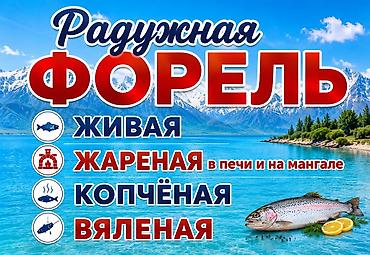 Балыктар: 🐟 Свежая и запечённая форель на Иссык-Куле! Предлагаем вкусную — 2