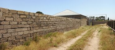 Bağ evlərinin satışı: Digah, 300 kv. m, 3 otaqlı, Hovuzsuz, Artezian quyusu — 11