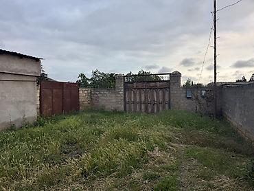 Torpaq: 17 sot, Tikinti, Kupça (Çıxarış) — 1