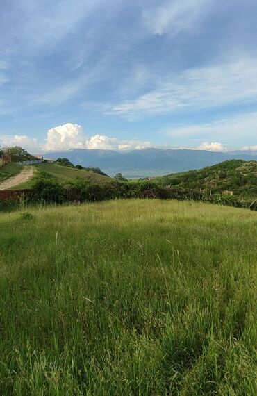 Torpaq sahələrinin satışı: 13 sot, Tikinti, Mülkiyyətçi, Kupça (Çıxarış) — 7