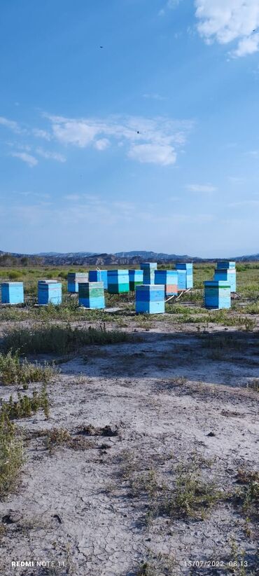 Bal: 100% qarantiya verilir təbii olduğuna! . 100% Təbii Bal zəmanət -da lalafo.az — 16 Bal: 100% qarantiya verilir təbii olduğuna! . 100% Təbii Bal zəmanət — 16