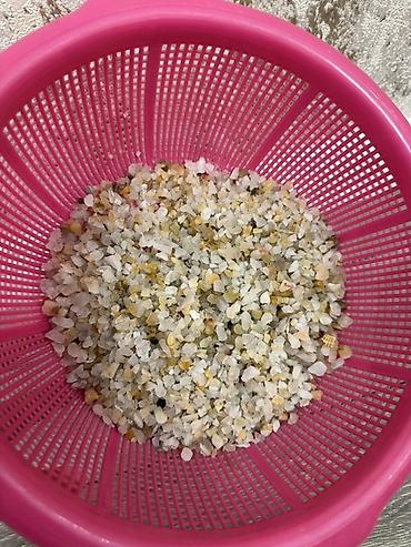 Akvariumlar: Dördbucaq akvarium, Boş, 6 l, Ünvandan götürmə — 8