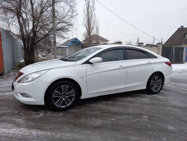 Hyundai: Hyundai Sonata: 2010 г., 2 л, Автомат, Газ, Седан