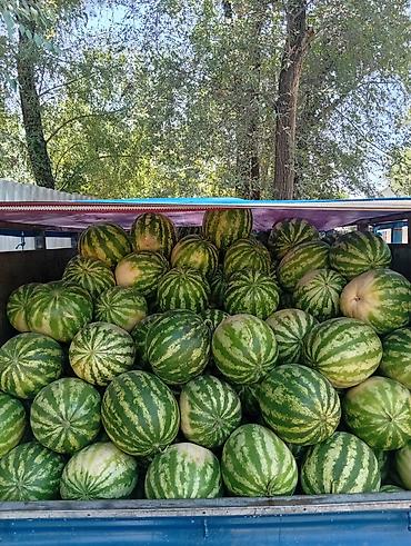 клубника пленка: Арбузы Оптом, Самовывоз, Бесплатная доставка, Платная доставка — 1