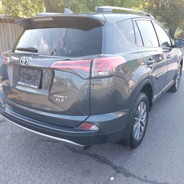 Toyota: Toyota RAV4: 2017 г., Гибрид, Кроссовер — 5