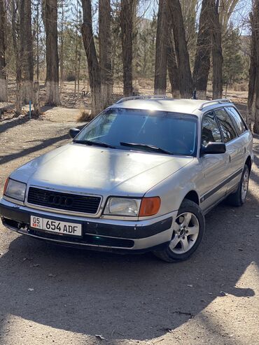 Audi: Audi 100: 1993 г., 2.6 л, Механика, Бензин, Универсал