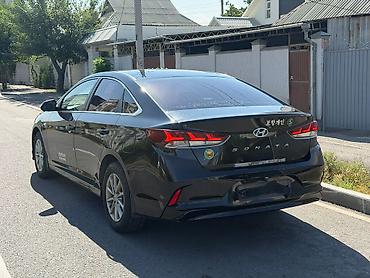 соната 2004: Hyundai Sonata: 2020 г., 2 л, Автомат, Газ, Седан — 7