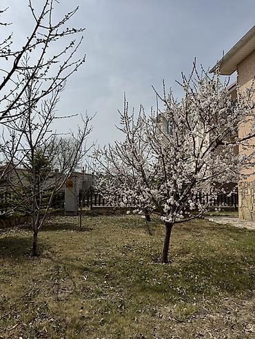 Продажа коттеджей и домов: Продаётся двухэтажный коттедж с мансардой в ЦО «Кесар» (город — 4