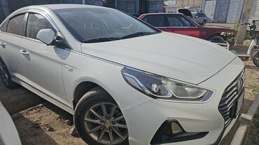 визы в корею: Сдаю в аренду: Легковое авто, Под такси