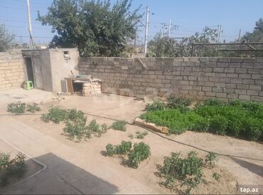 Həyət evləri və villaların satışı: 3 otaqlı, 142 kv. m, Kredit yoxdur, Orta təmir — 1