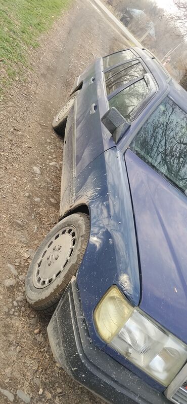 Mercedes-Benz: Mercedes-Benz W124: 1989 г., 2.3 л, Механика, Бензин, Универсал — 3