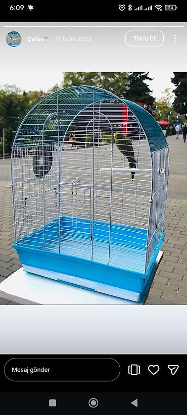 Tutuquşları: Bala Valnisti 9azn Boş qəfəs 9azn 1 bala quş +Qəfəs +Suqabı+Yemqabı — 13