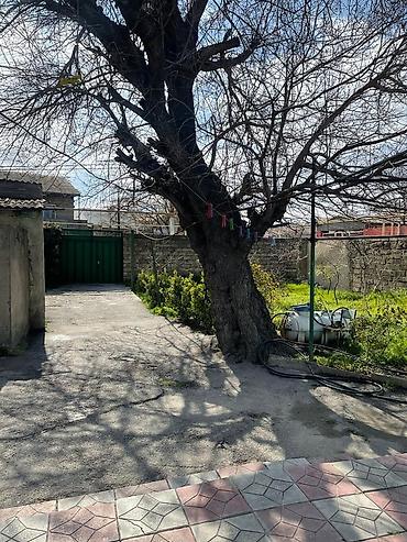 ev axtaram: Keşlə qəs. 5 otaqlı, 156 kv. m, Kredit yoxdur, Orta təmir — 7
