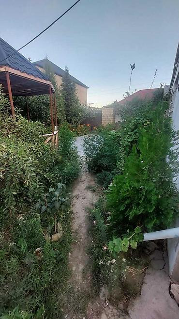 imisli ev elanlari: Masazır 3 otaqlı, 100 kv. m, Kredit yoxdur, Orta təmir — 7