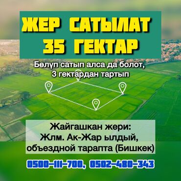 участок ала тоо 1: 350 соток