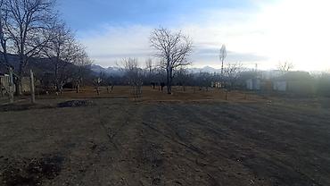 Продажа участков: 25 соток — 18