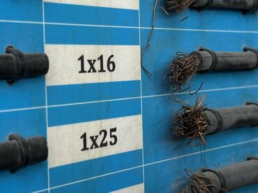 пониженный: Зымдар, Жез, Күчтүү