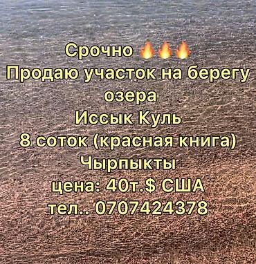 комнаты в караколе: 8 соток, Красная книга — 1