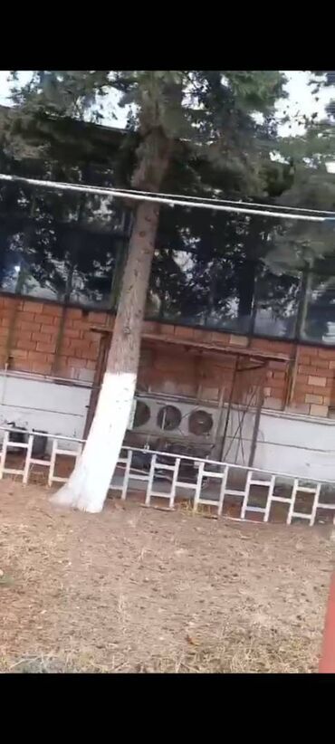 Kommersiya daşınmaz əmlakının satışı: Şəkidə fabrik satılır. Qiymətdə razılaşmaq. Yalnız real alıcılarla -da lalafo.az — 16 Kommersiya daşınmaz əmlakının satışı: Şəkidə fabrik satılır. Qiymətdə razılaşmaq. Yalnız real alıcılarla — 16