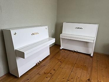 Pianolar: Ağ rəngdə akustik pianino – “Belarus” markası. 2-3 pedallı pianolar — 1