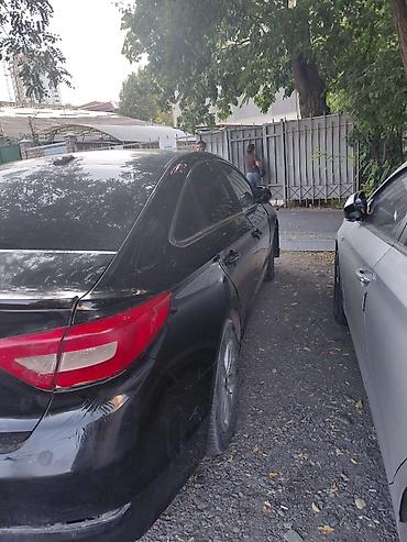 hyundai ionic: Hyundai Sonata: 2016 г., 2.4 л, Автомат, Бензин, Седан — 4