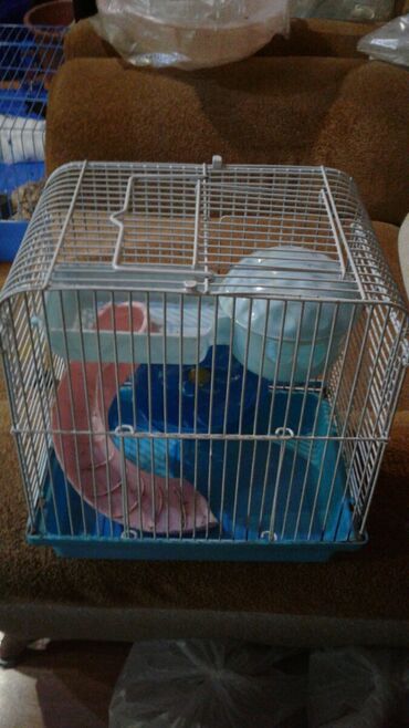 satiliq inekler: Cunqarikxamyak ucun qefes satilir qiymeti 18 azn böyük borulu qefes