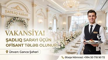 afsiant iwi: Ofisiant tələb olunur, Gündəlik ödəniş — 2
