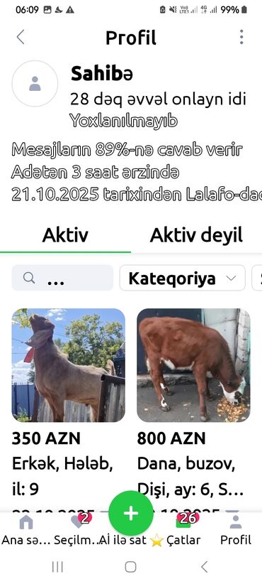 Hinduşkalar: Salam alekum bu hidusqa satandab 5 hidusqa zakaz etmisik pulu atmisiq — 15