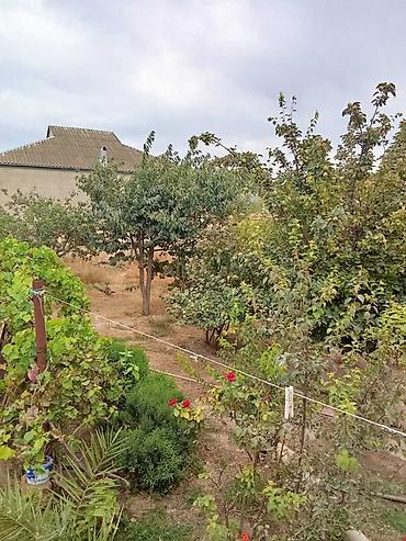 Həyət evləri və villaların satışı: Mehdiabad 4 otaqlı, 140 kv. m, Orta təmir — 5