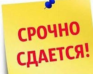 желмаян ош цена: Квартирага вагон домик берилет.баардык шарты жок.2 — 1