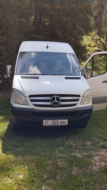 спиринтер сини: Mercedes-Benz Sprinter: 2008 г., 2.2 л, Автомат, Дизель, Бус