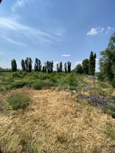 Продажа участков: 48 соток, Для бизнеса, Красная книга — 2