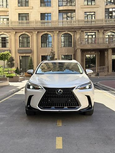 lexus: Lexus NX: 2023 г., 2.5 л, Автомат, Гибрид, Кроссовер — 1