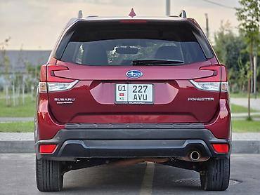 forest: Subaru Forester: 2019 г., Кроссовер — 4