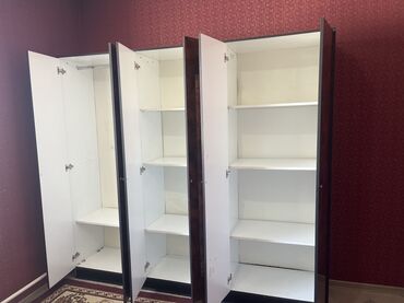 настенные шкафы: Кийим салуучу шкаф, Түз