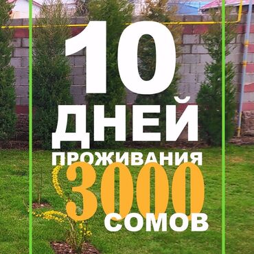 ночной автобус бишкек ат башы номер телефона: Хостел Бинур - уютно, как дома! 750 сомов а сутки. 3000 на 10 дней за