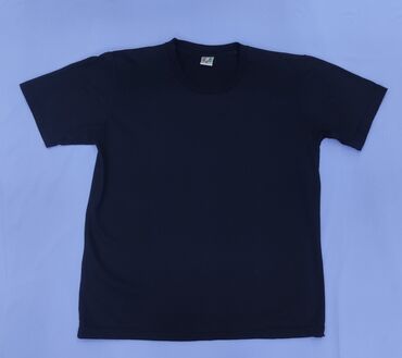 Футболки: Однотонные Футболки Плотность 300 г. / м Colour Футболки Оптом — 17