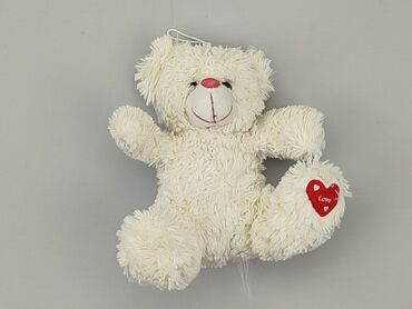 Mascots: Mascot Teddy bear, condition - Fair