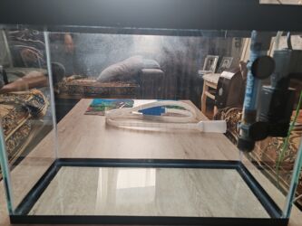 Balıq: Şüşə akvarium komplekti - Ölçü: 45×20 sm (dikdörtgen forma, geniş ön — 8