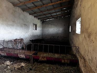 Продажа коттеджей и домов: Срочно продается дом +большой участок Адрес: Беловодский село Бала at lalafo.kg — 12 Продажа коттеджей и домов: Срочно продается дом +большой участок Адрес: Беловодский село Бала — 12