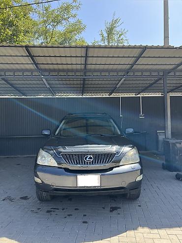 Lexus: Lexus RX: 2004 г., 3.3 л, Автомат, Бензин — 15