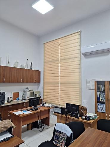 Ev üçün dekor: Zebra və plisse jalüz pərdələr - Model: Zebra (iki qatlı, işıq — 3