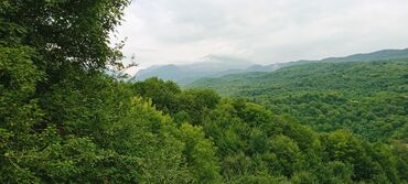 Günlük kirayə evlər: 6 kv. m, 3 otaqlı, İnternet, Telefon, Qaz — 27