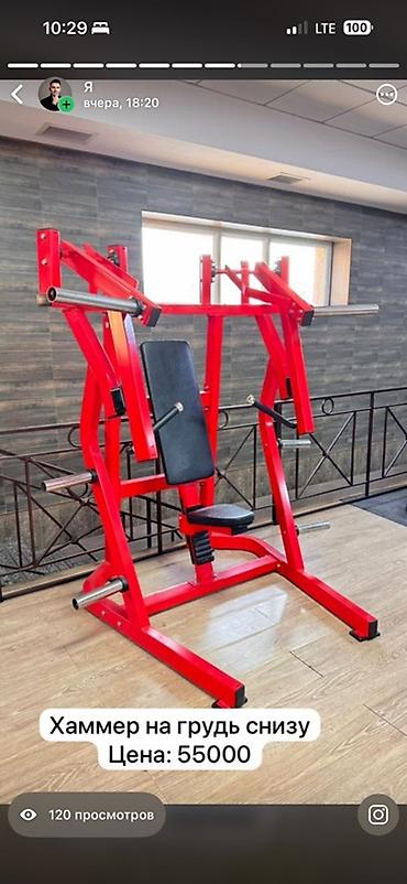 Силовые тренажеры: Силовой тренажер, Для спины — 4