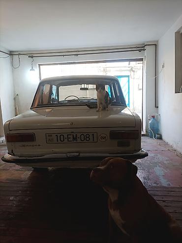 vaz 210: VAZ 2101 “Jiquli” – klassik sedan - Kuzov: 4 qapılı sedan, ağ rəng - — 4