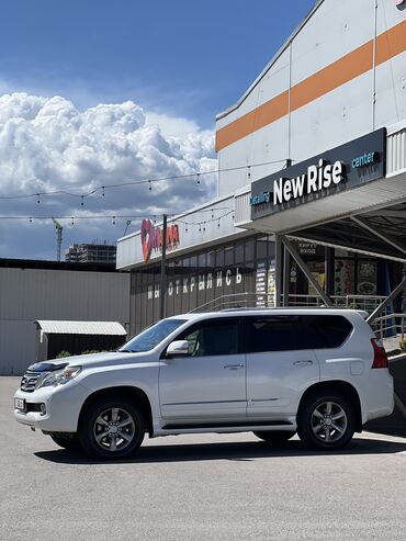 решетка на gx: Lexus GX: 2010 г., 4.6 л, Автомат, Бензин, Внедорожник