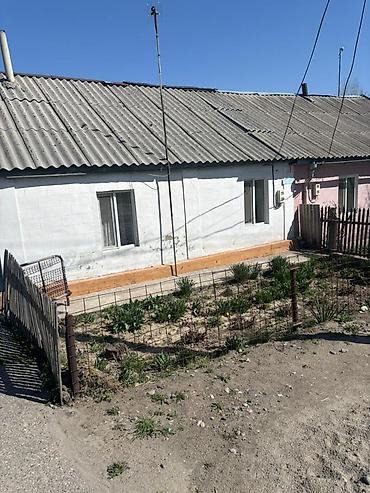 Продажа коттеджей и домов: Продаётся одноэтажный дом с просторным двором и хозяйственными — 4