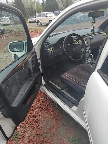 Mercedes-Benz: Mercedes-Benz : 2.5 l | 1996 il — 5