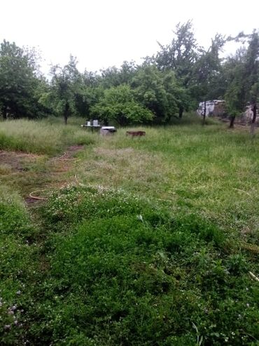 Torpaq sahələrinin satışı: 30 sot, Mülkiyyətçi, Kupça (Çıxarış) — 9